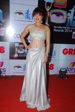 Aashka Goradia at ITA Awards red carpet in Mumbai on 1st Nov 2014
